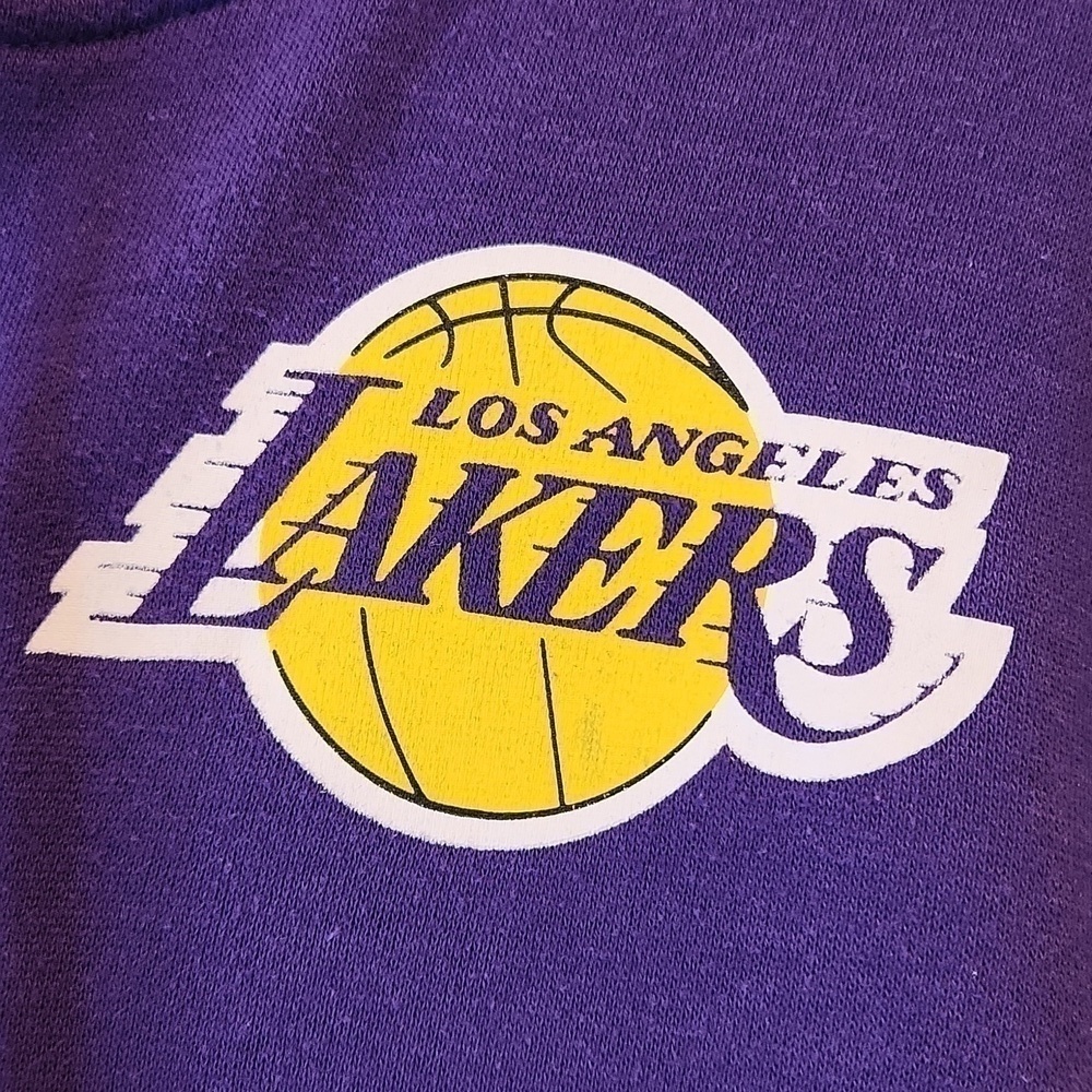 Official NBA Los Angeles Lakers Colorblock 1/4 Hoodie Pullover Men's Sz S NICE! - Picture 14 of 14